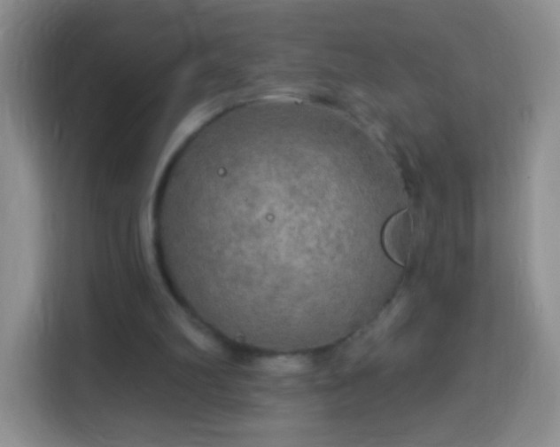 X0000113960102200910021534