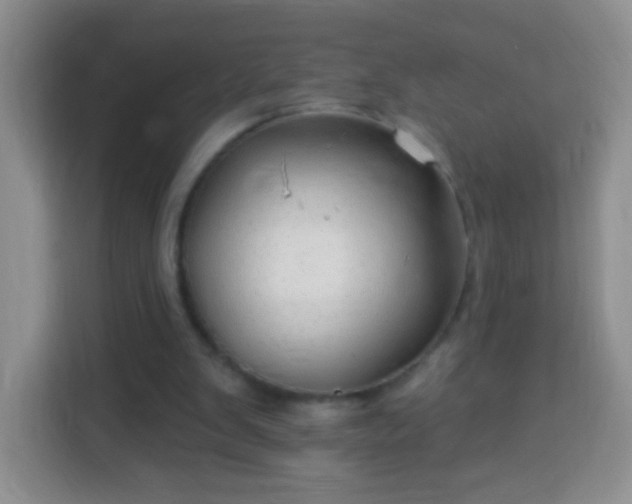 X0000113960103200910021534