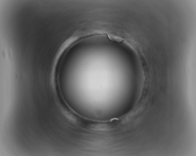 X0000113960104200910021534