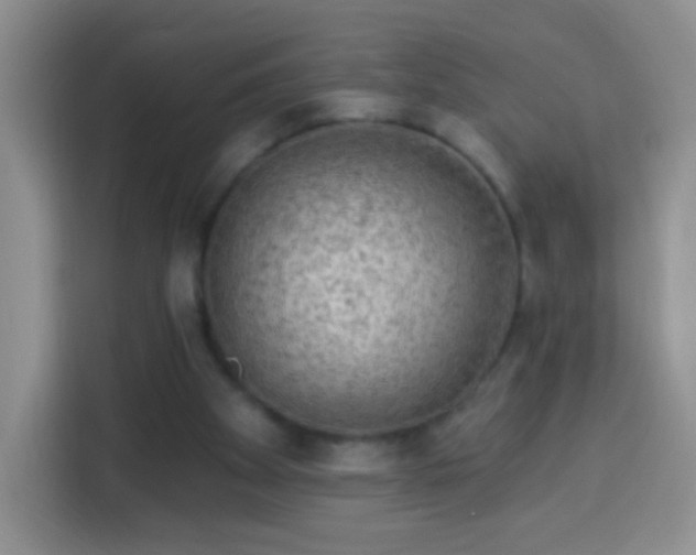 X0000113960105200910021534