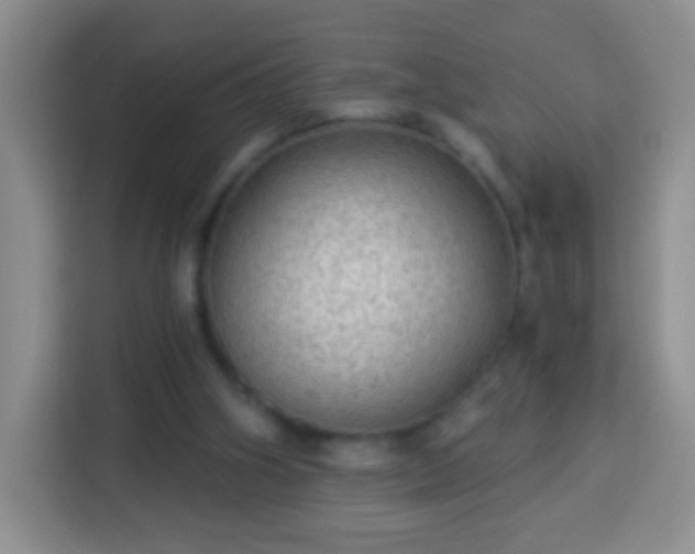 X0000113960106200910021534