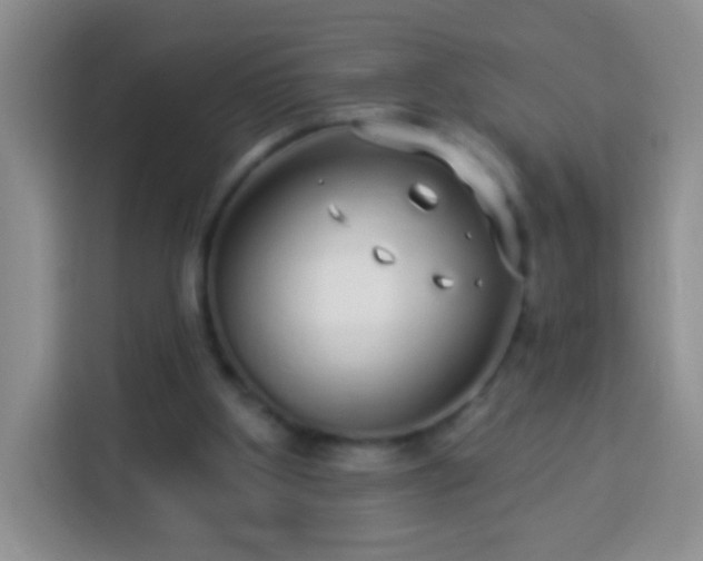 X0000113960107200910021534