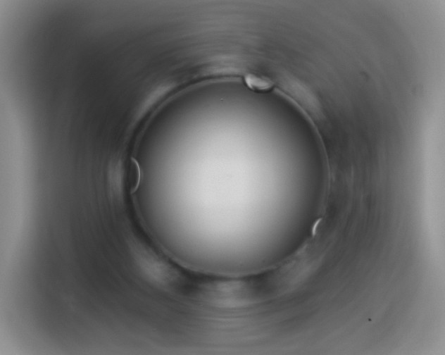 X0000113960108200910021534