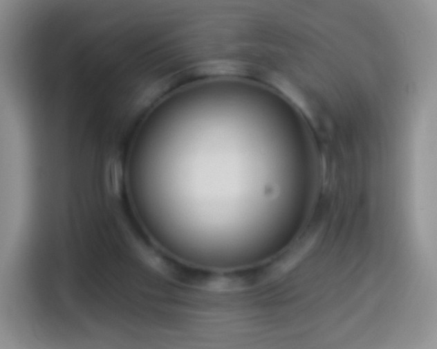 X0000113960109200910021534