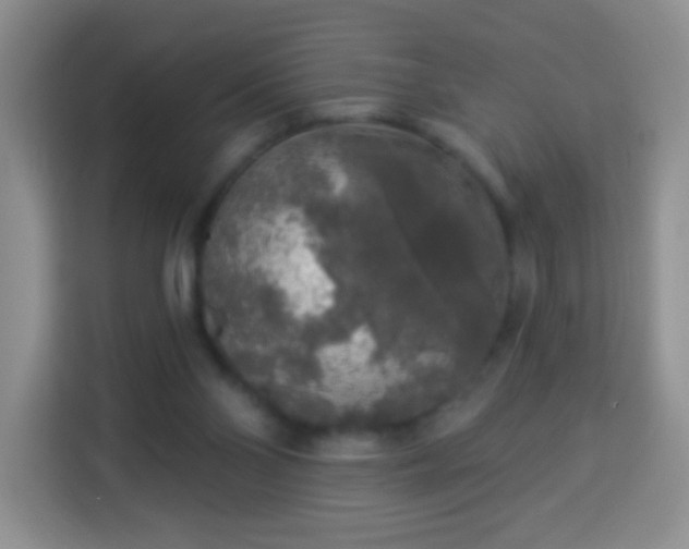 X0000113960110200910021533