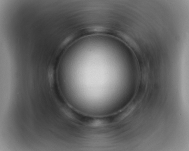 X0000113960111200910021533