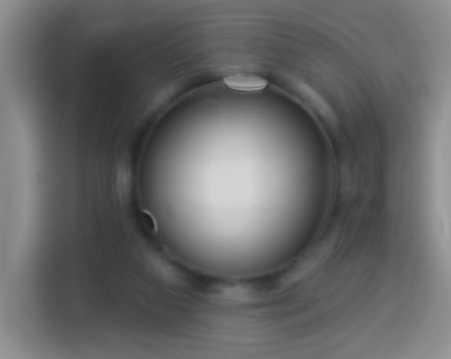 X0000113960113200910021533