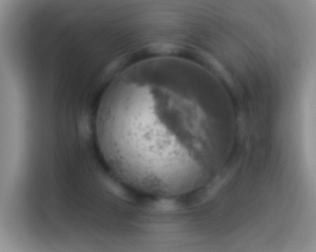 X0000113960114200910021533