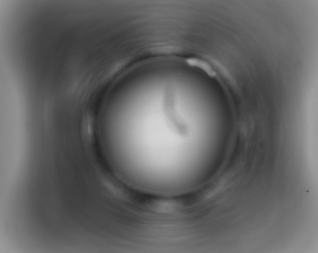 X0000113960115200910021533