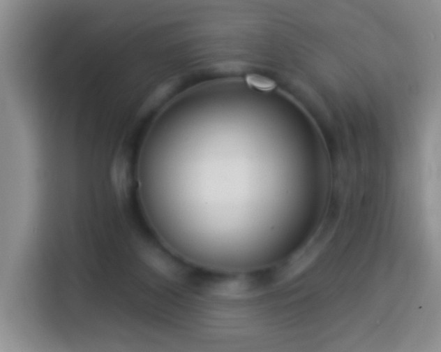 X0000113960116200910021533