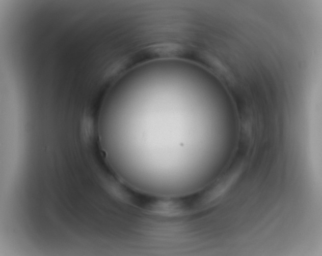 X0000113960117200910021533