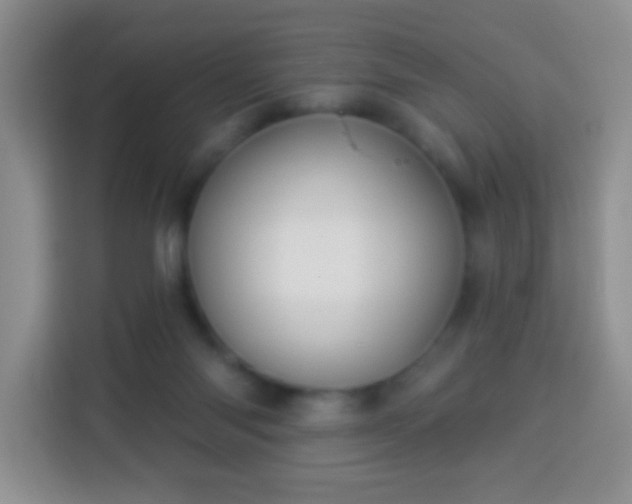 X0000113960118200910021533