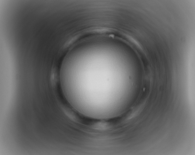 X0000113960119200910021533