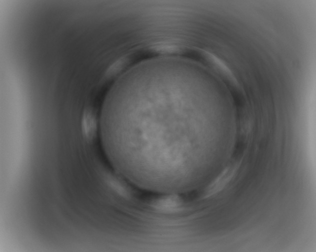 X0000113960124200910021533