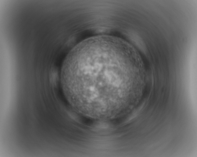 X0000113960127200910021533