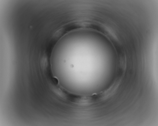 X0000113960128200910021533