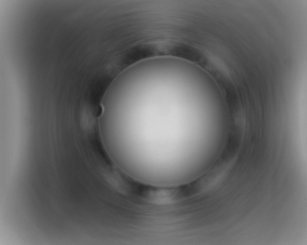 X0000113960129200910021533