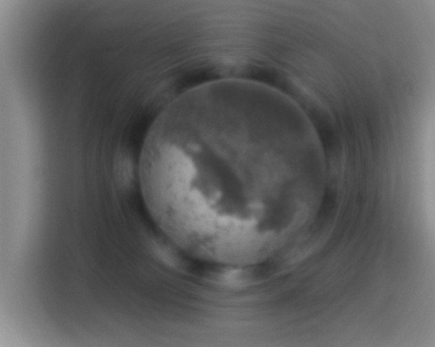 X0000113960130200910021533