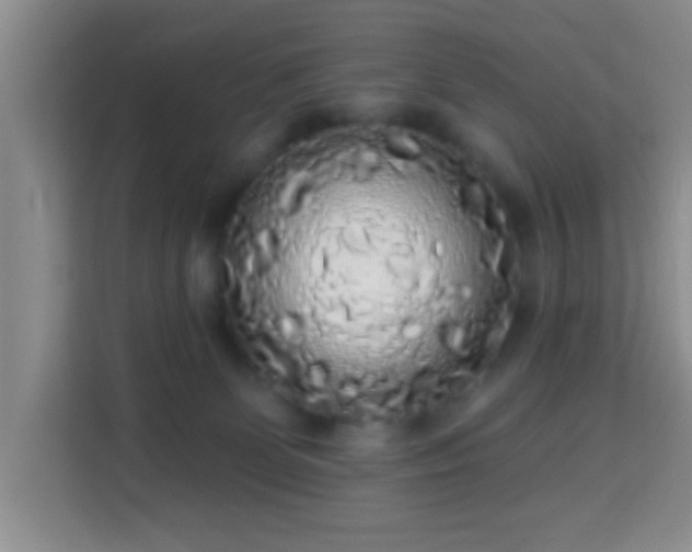 X0000113960131200910021533