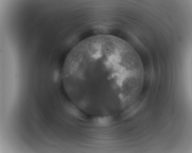 X0000113960134200910021533