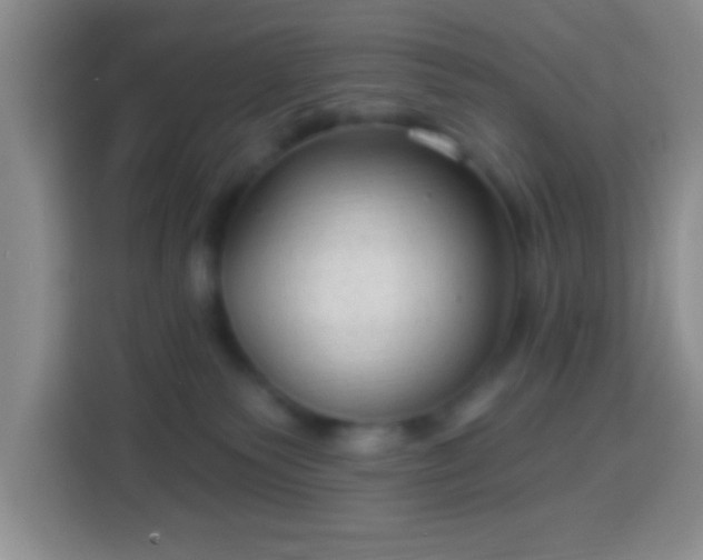 X0000113960135200910021533