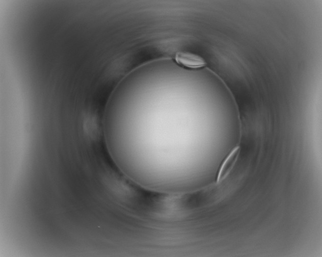 X0000113960136200910021533