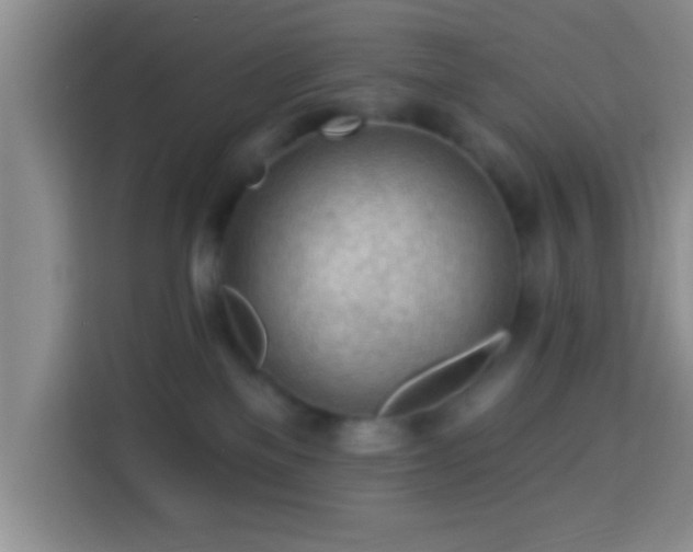 X0000113960137200910021533