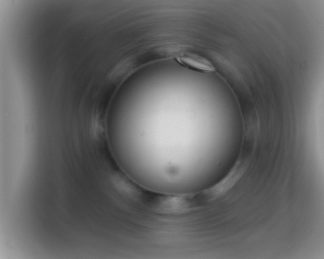 X0000113960140200910021533