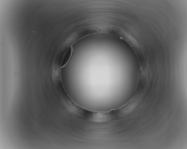 X0000113960141200910021533