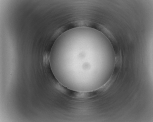 X0000113960142200910021533