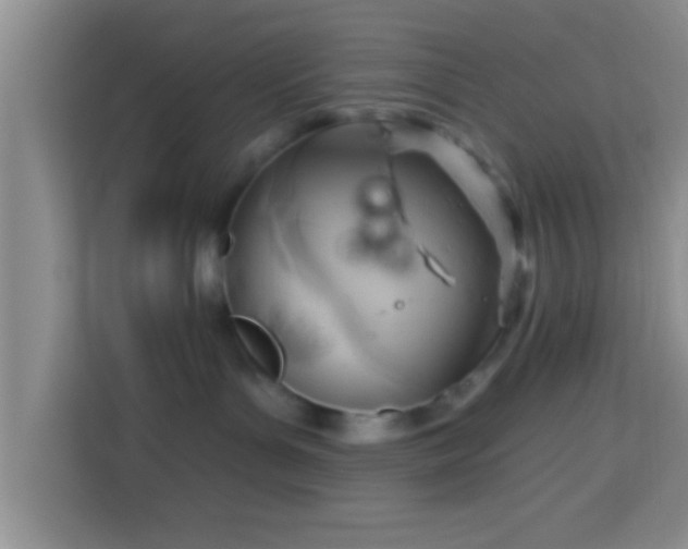 X0000113960143200910021533