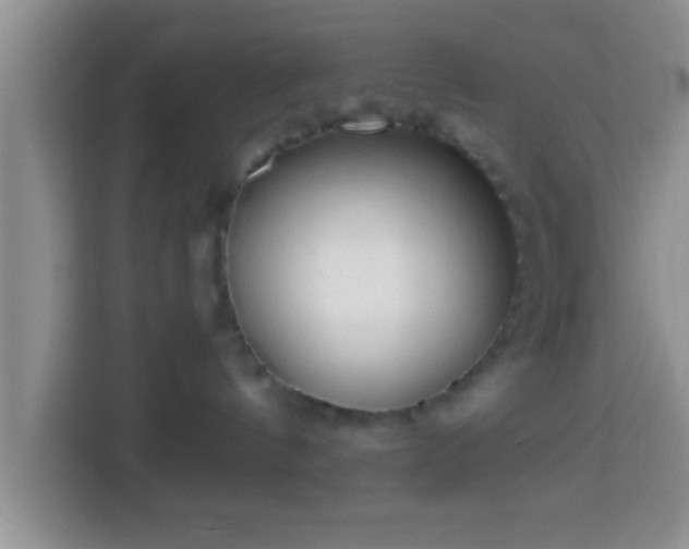 X0000113960144200910021533