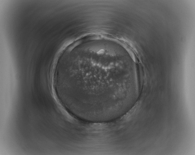 X0000113960145200910021532