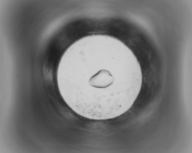 X0000113960146200910021532