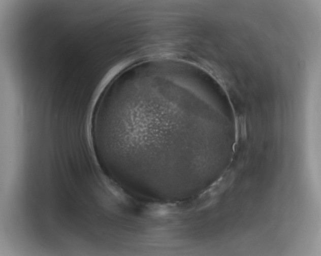 X0000113960147200910021532