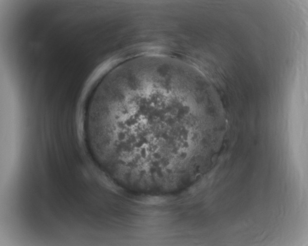 X0000113960149200910021532