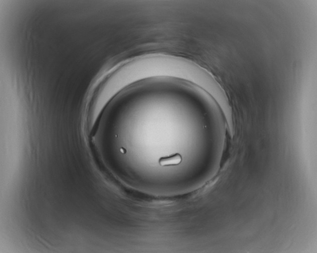 X0000113960150200910021532