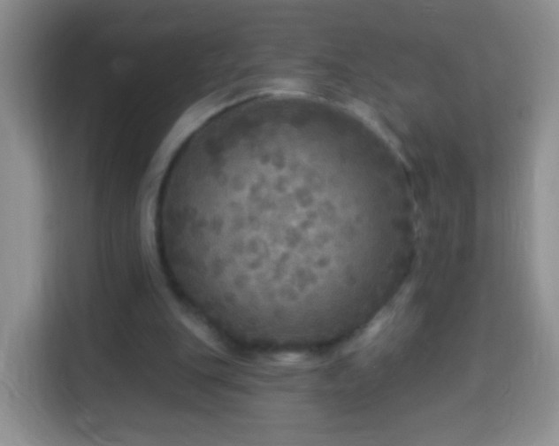 X0000113960151200910021532