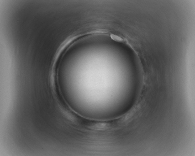 X0000113960152200910021533