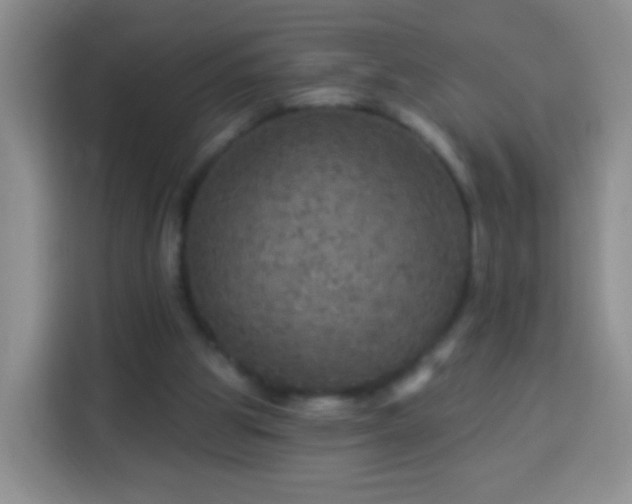 X0000113960153200910021533