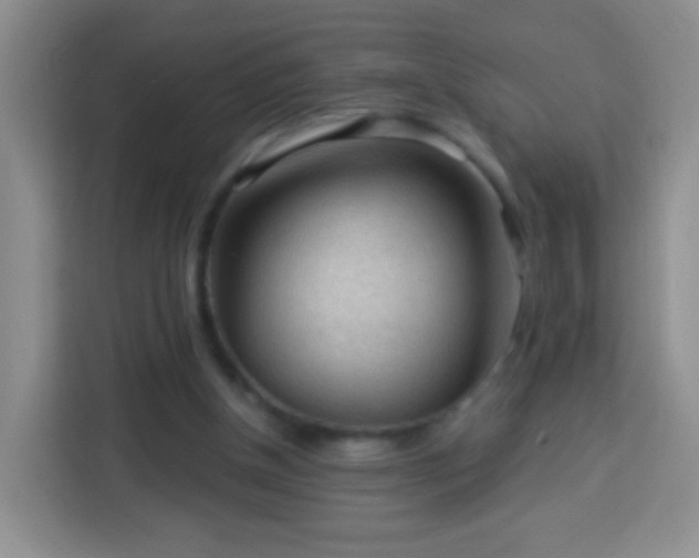 X0000113960154200910021533