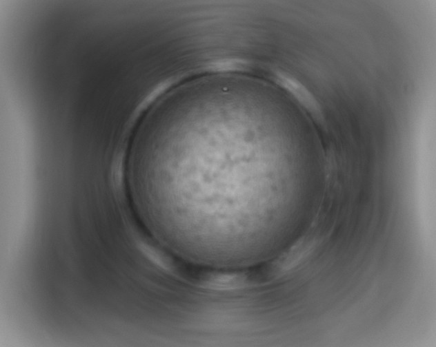 X0000113960155200910021533