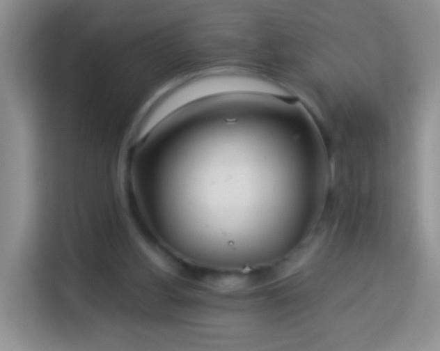 X0000113960156200910021533