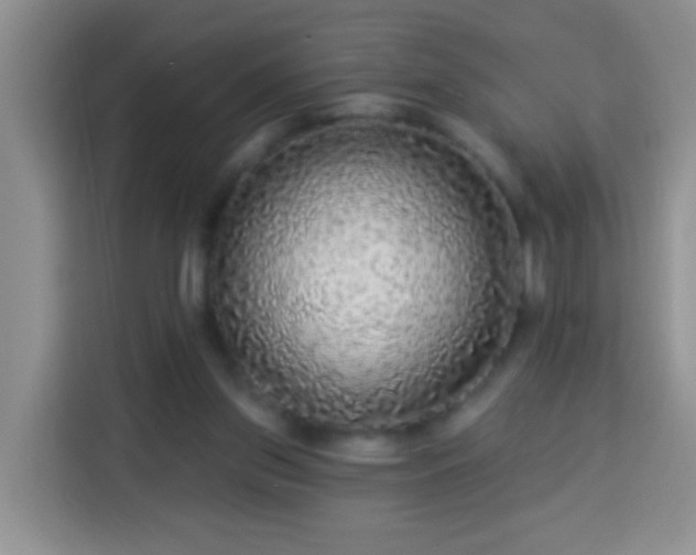 X0000113960157200910021533