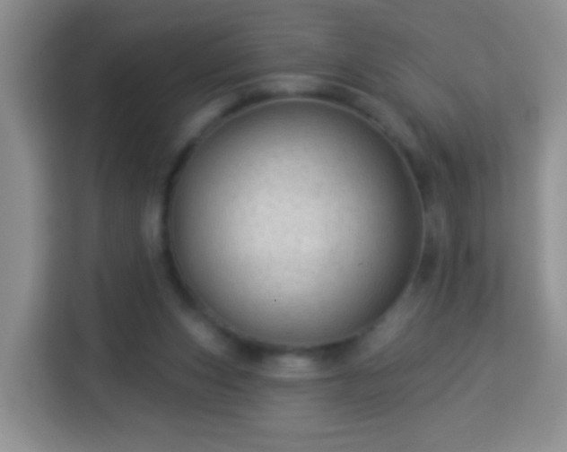 X0000113960159200910021533