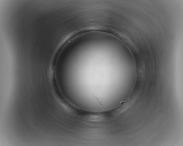 X0000113960160200910021533