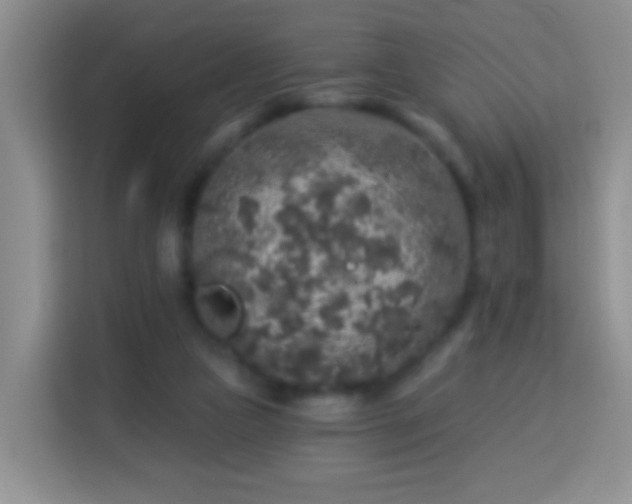 X0000113960161200910021533