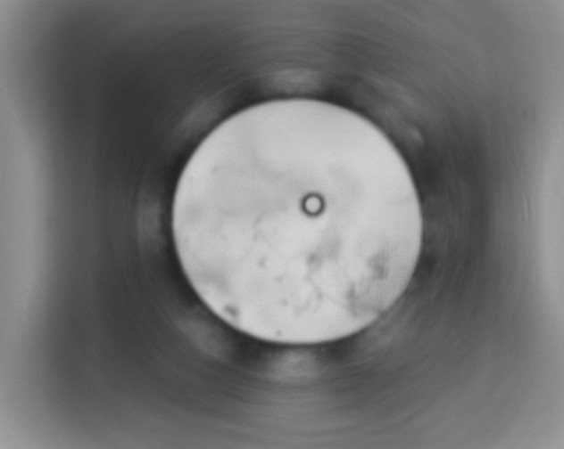 X0000113960162200910021533