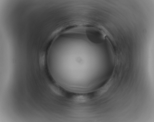 X0000113960163200910021533