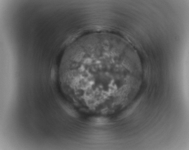 X0000113960165200910021533